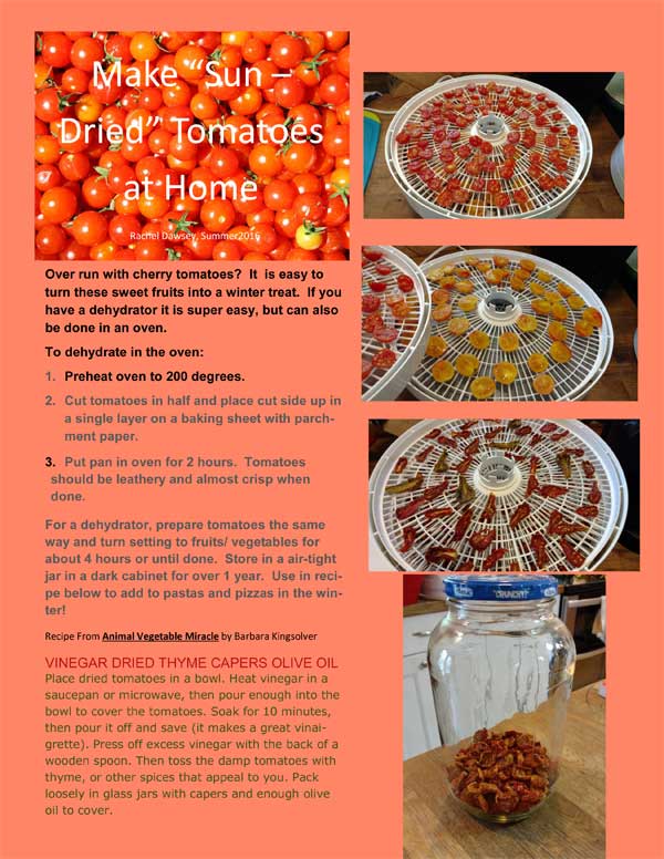Make Sun-Dried Tomatoes at Home